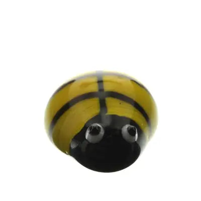 Tiny Glass Insect