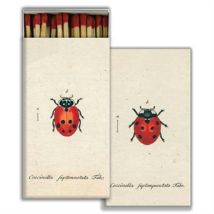 Matches - Ladybug