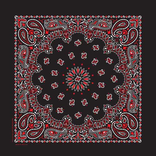 Bandanna Co Classic Paisley 22" X 22"