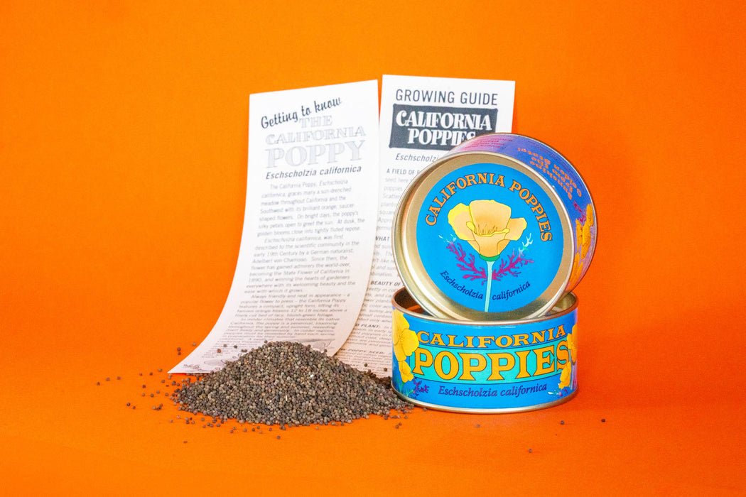 California Poppy | Seed Grow Kit