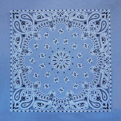 Bandanna Co Classic Paisley 22" X 22"