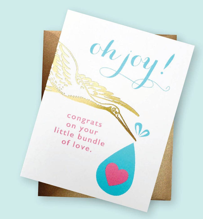 Stork Baby Bundle Congrats