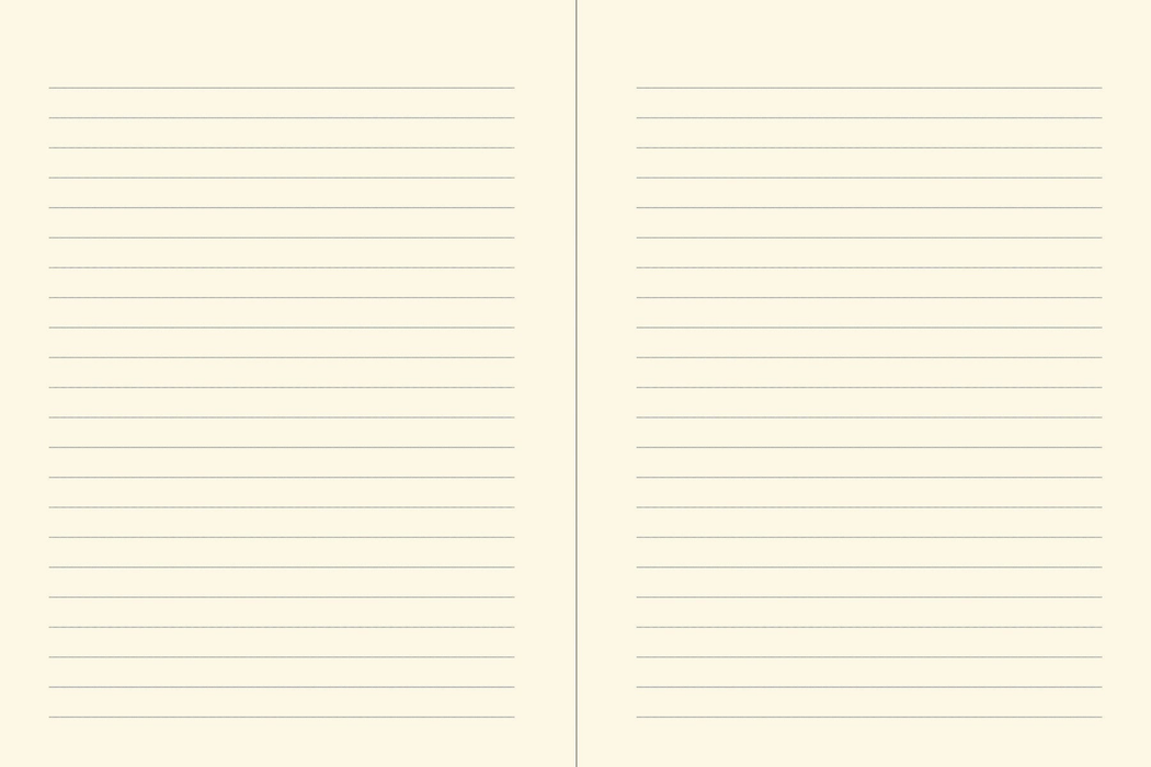 Orange Fairy Journal