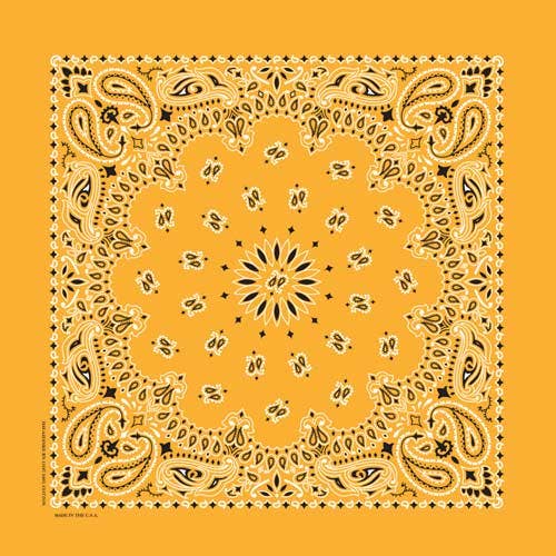 Bandanna Co Classic Paisley 22" X 22"