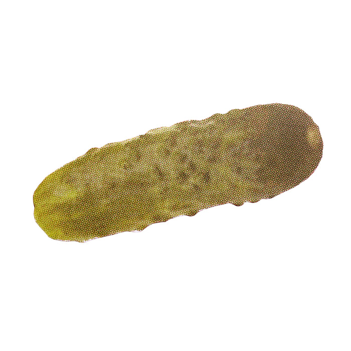 Retro Pickle Postcard With Envelope