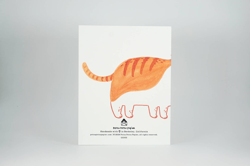 Peeping Orange Cat Birthday Greeting Card