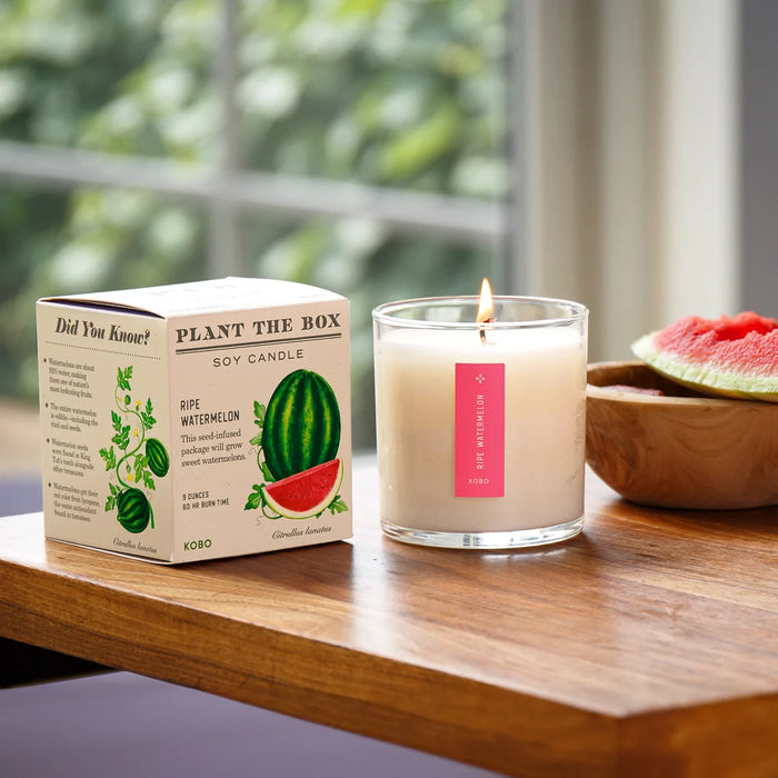 Plant The Box Candle - 9oz