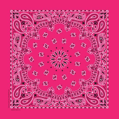 Bandanna Co Classic Paisley 22" X 22"