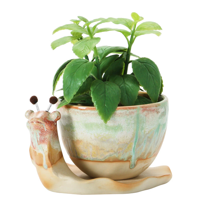 Snail Planter and Tray