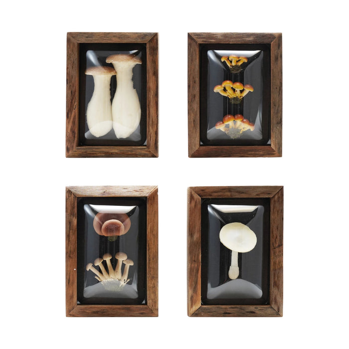 Wood Framed Mushroom Shadowbox