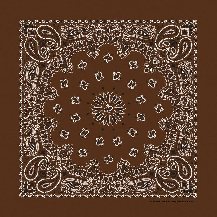 Bandanna Co Classic Paisley 22" X 22"