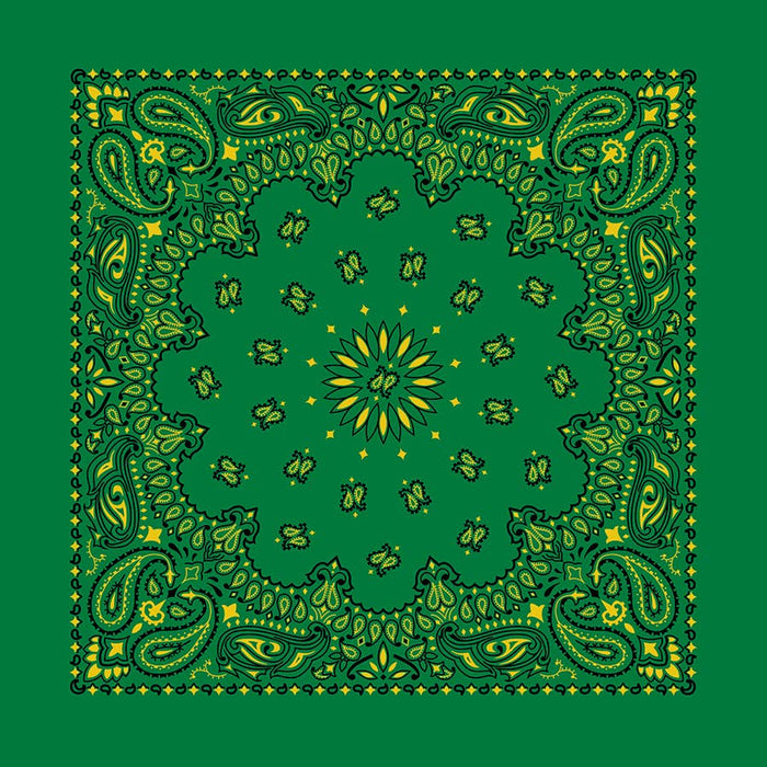 Bandanna Co Classic Paisley 22" X 22"