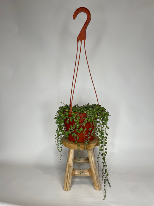 6" Hanging String Of Pearls